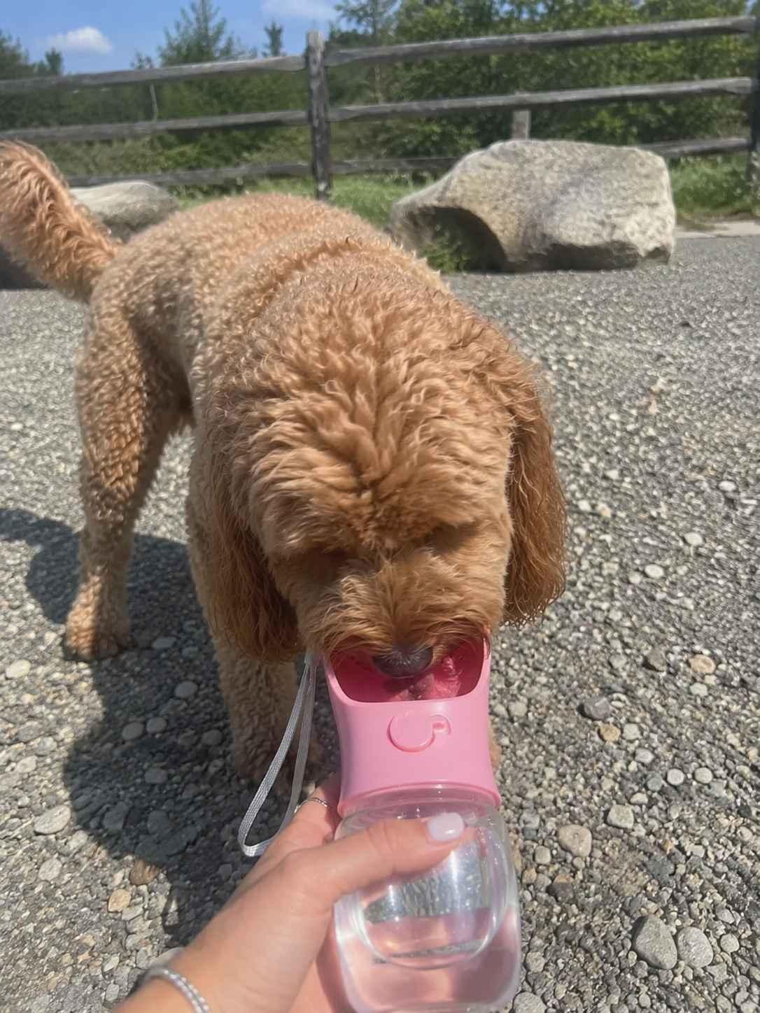TRAILPAWS
2-IN-1 WASTE-FREE
PET DISPENSER